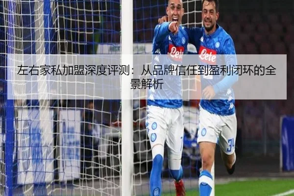 左右家私加盟深度评测：从品牌信任到盈利闭环的全景解析
