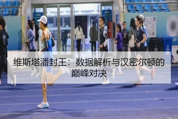 维斯塔潘封王：数据解析与汉密尔顿的巅峰对决