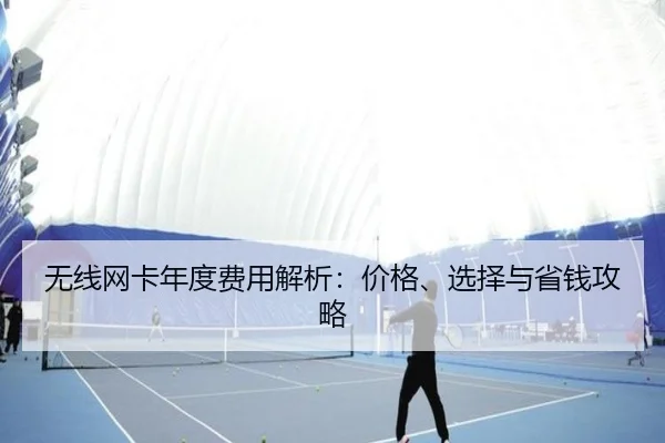无线网卡年度费用解析：价格、选择与省钱攻略